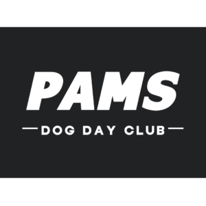 SF_Pams Dog Day Club